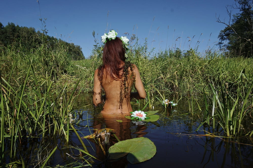  In Pond with Waterflowers 2 #45