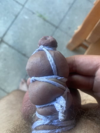My pervert dreams