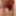 Tygra babe eat the two sides of large cumcumber. #3