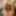 Sexy beauty Pollymodel loves to tease