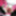 Tiny and useless sissy clitt leaks in chastity