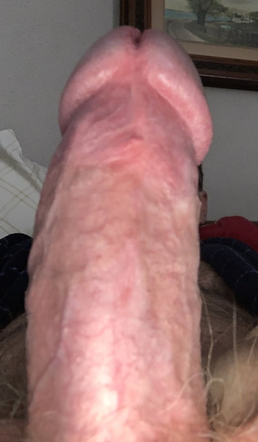 Dick closeups  #34