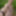 naked exhibitionist cruising jerking hoping to get some help #57