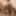 Body showcase #15
