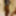 Black honey gets recorded as she showers #34