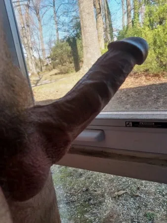 Showing my stiff cock to the neighborhood         