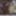 sounding lingerie dildo transgenre 4 #7