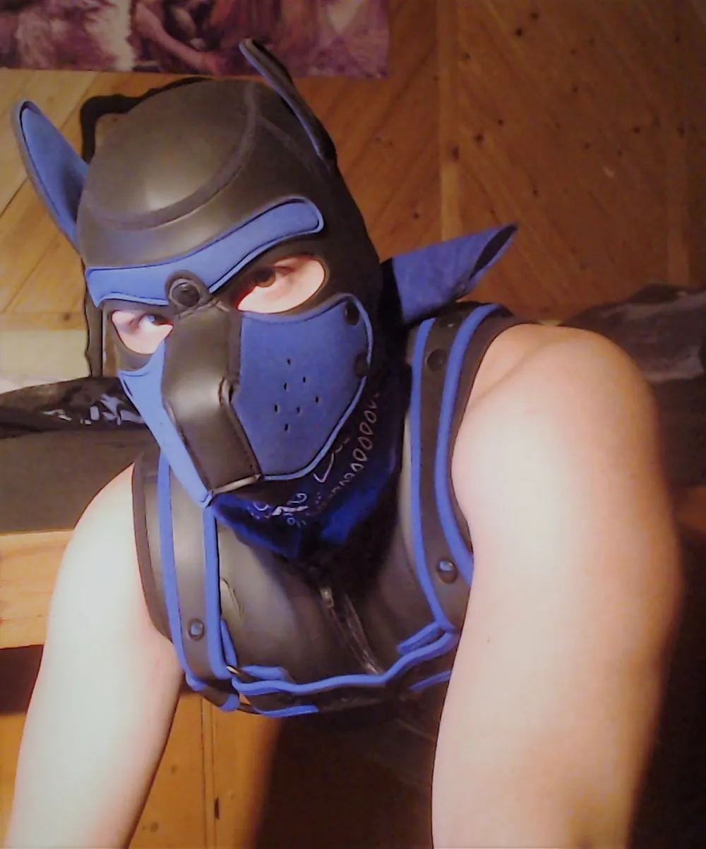 PetplayNeoprene #13