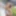 Ücretsiz Alainnaxxx Fotoğrafları