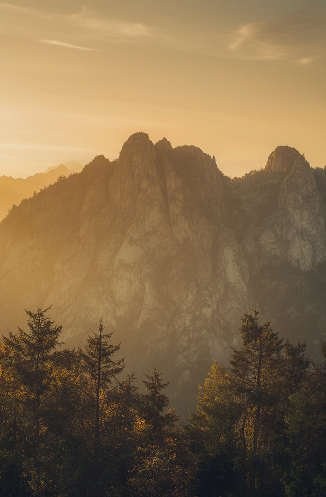 Emilia Free Photos #7