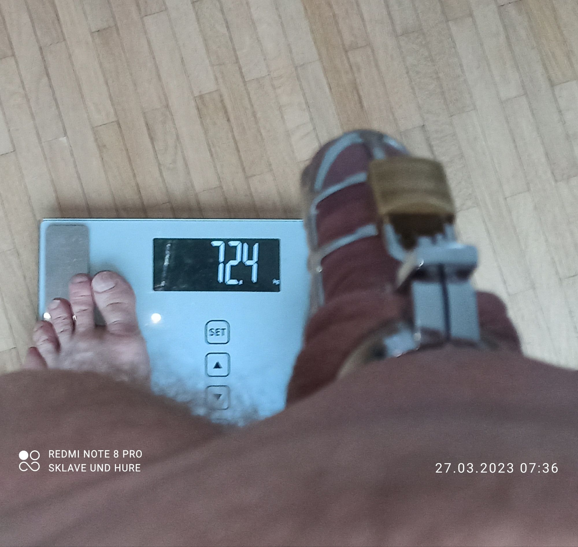 mandatory weighing and cagecheck of 27.03.2023 #4