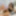 Free Shanon Photos