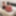 10-22-2021 WEEKLY Video Update to DoggVision VIP Mbrs Area #28