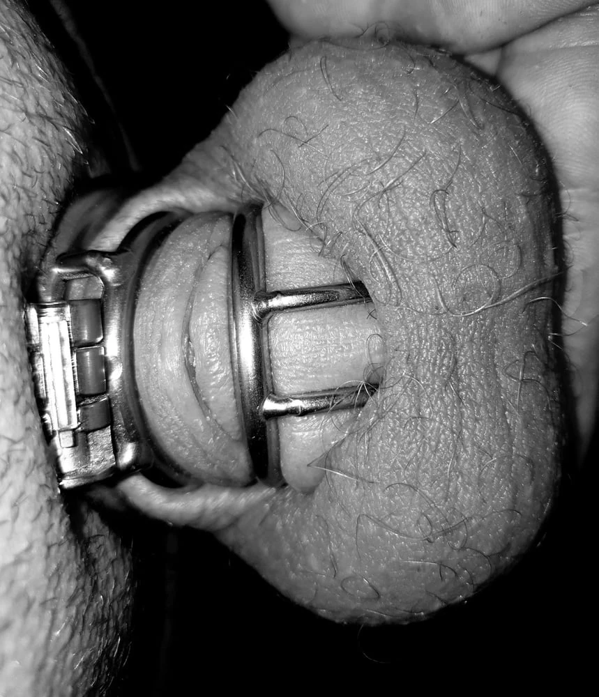 Chastity, pussy, cock, anal #23