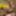 Horny big cock User fucking