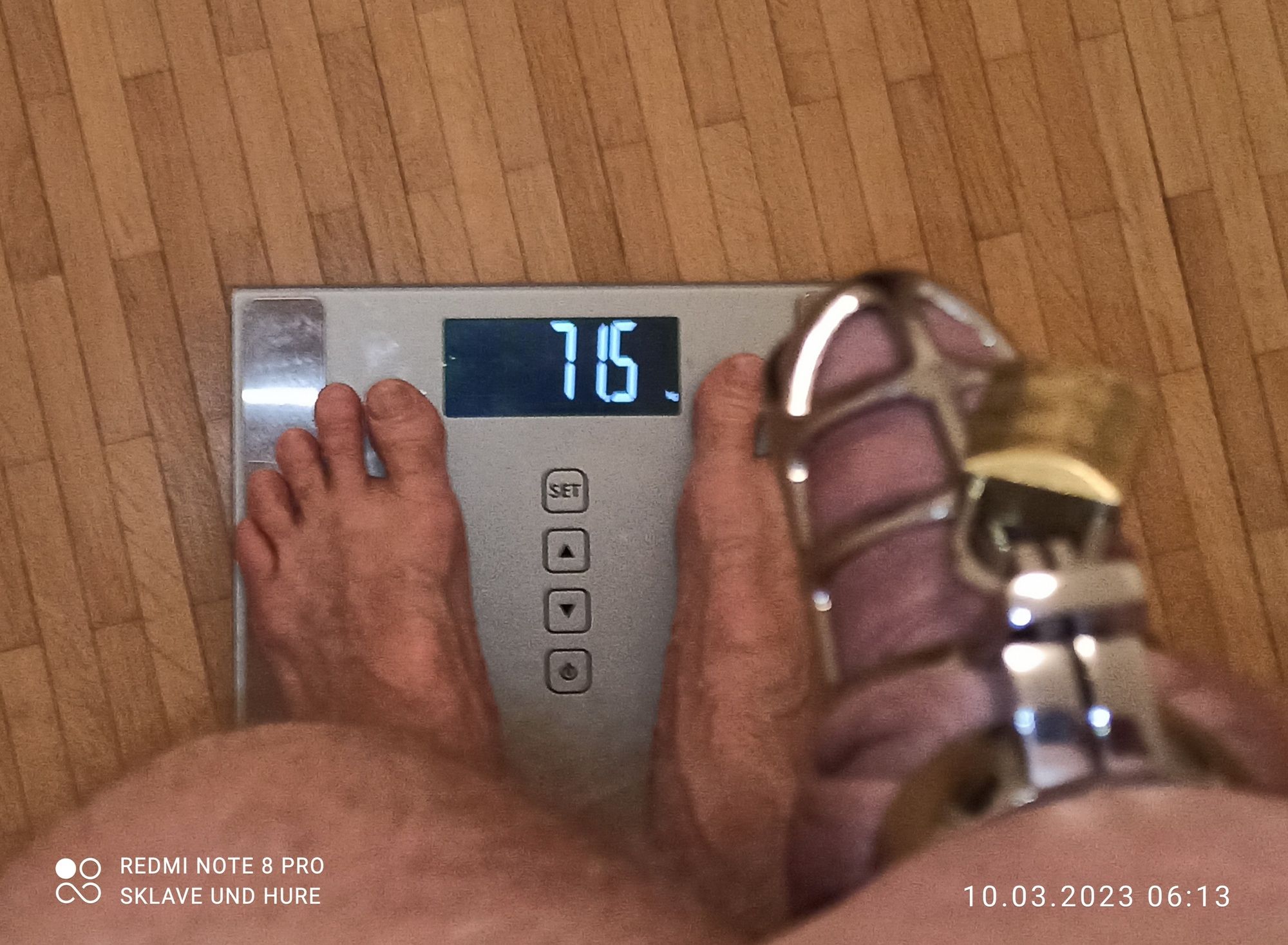 mandatory weighing and cagecheck of 10.03.23