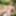 Nude poser in Garden