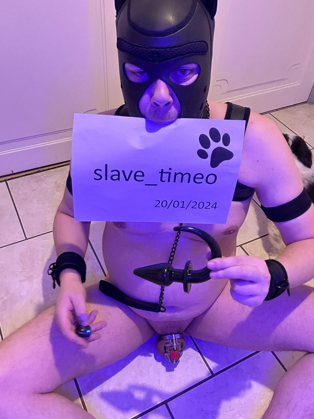 Presentation of slave_timeo (blue shooting) #19