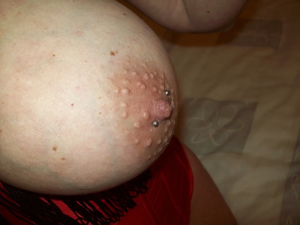 Nipple piercing by Wildcat #20