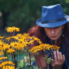 Kiss of Butterfly