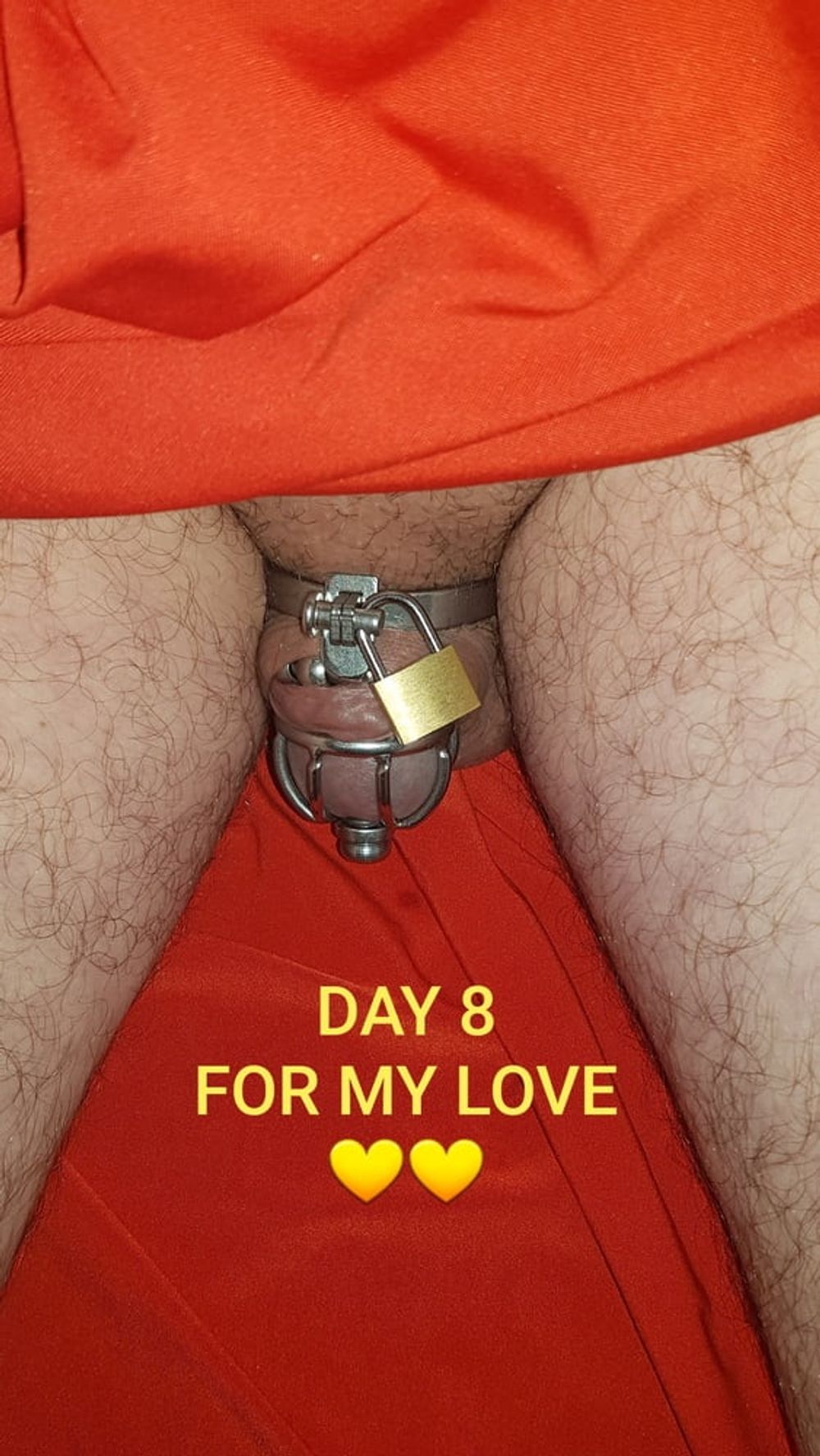 Chastity cage for Liliyana #8