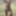 nude girl in the beach 