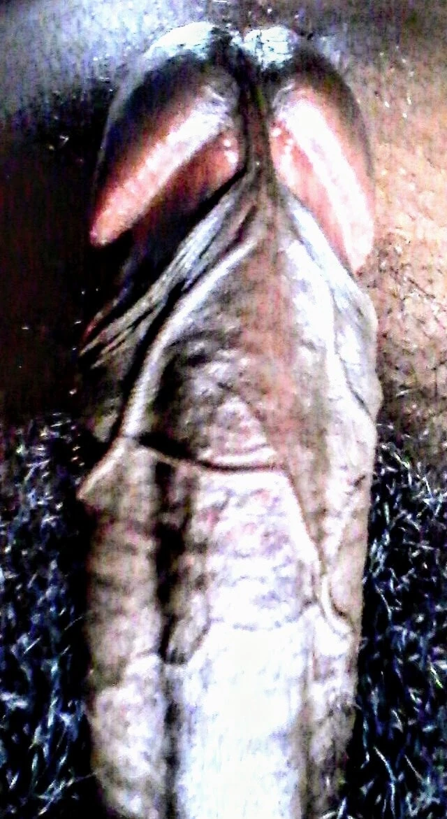 Әйелдердің порнографиялық фотосуреттері