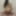 Bunni Free Photos #16