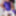N?glig? purple and Pantyhose white #27
