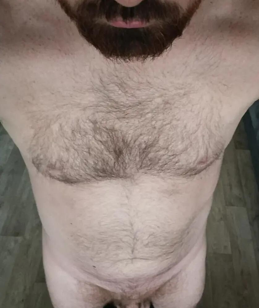 Hairy bear