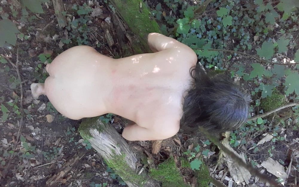 Tygra slut nude in the forest of the Robertsau. #48