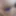 Need cock in my ass uncut is better but I'll take any 