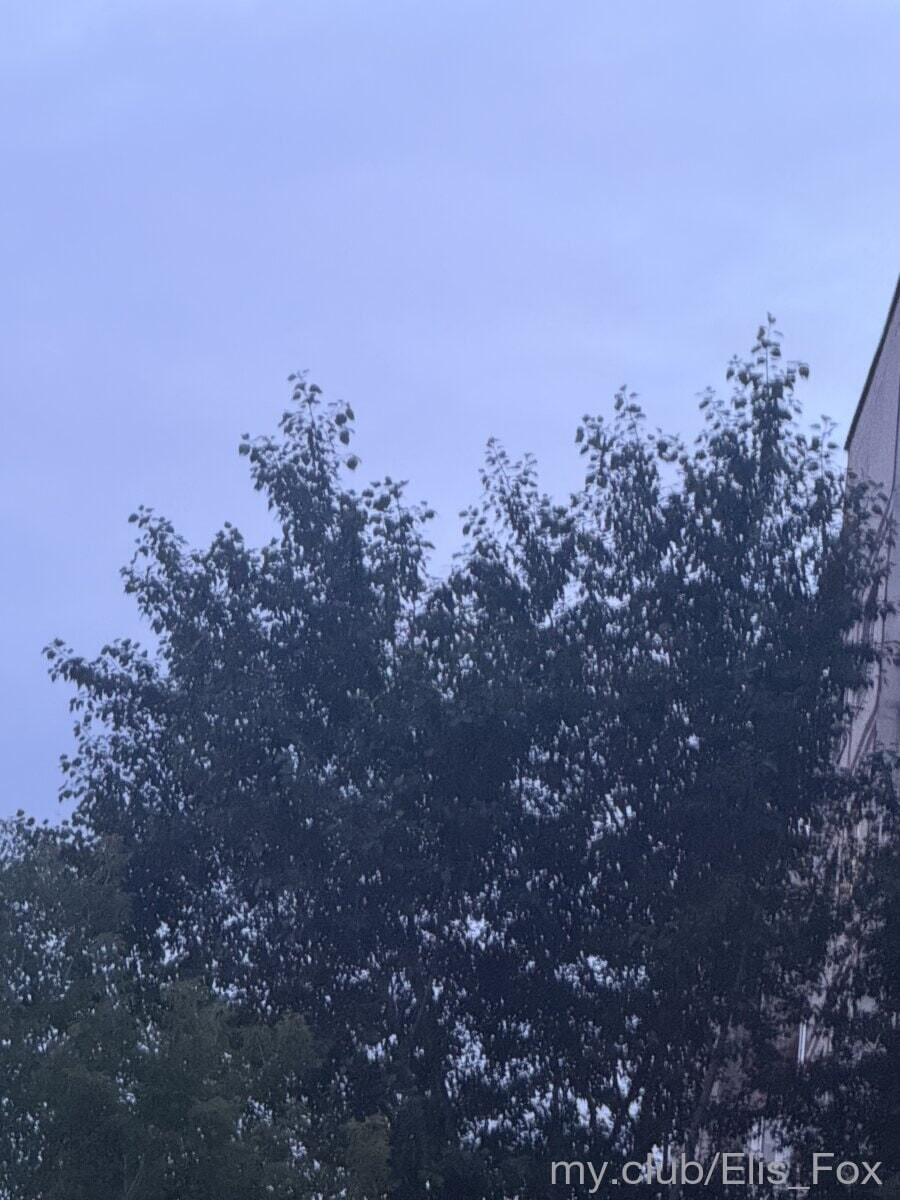 Alice Free Photos #10