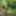 Mommy&amp;amp;#039;s Re-purposed Used Dildos.  Hugh-Titted Garden Walk #33