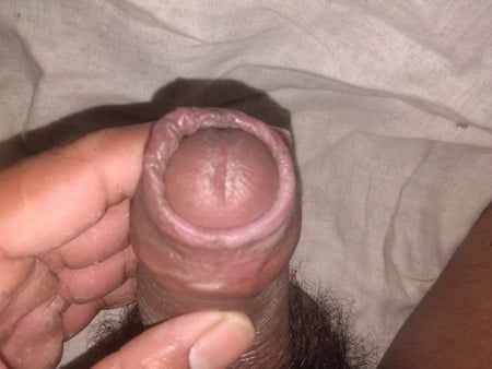 MY PENIS DICK COCK LUND PICTURE PHOTO