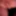 My little friend – freshly shaved and ready #4