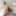 Melissa and Jenna are horny lesbians licking wet twats