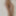 Beautiful naked body 