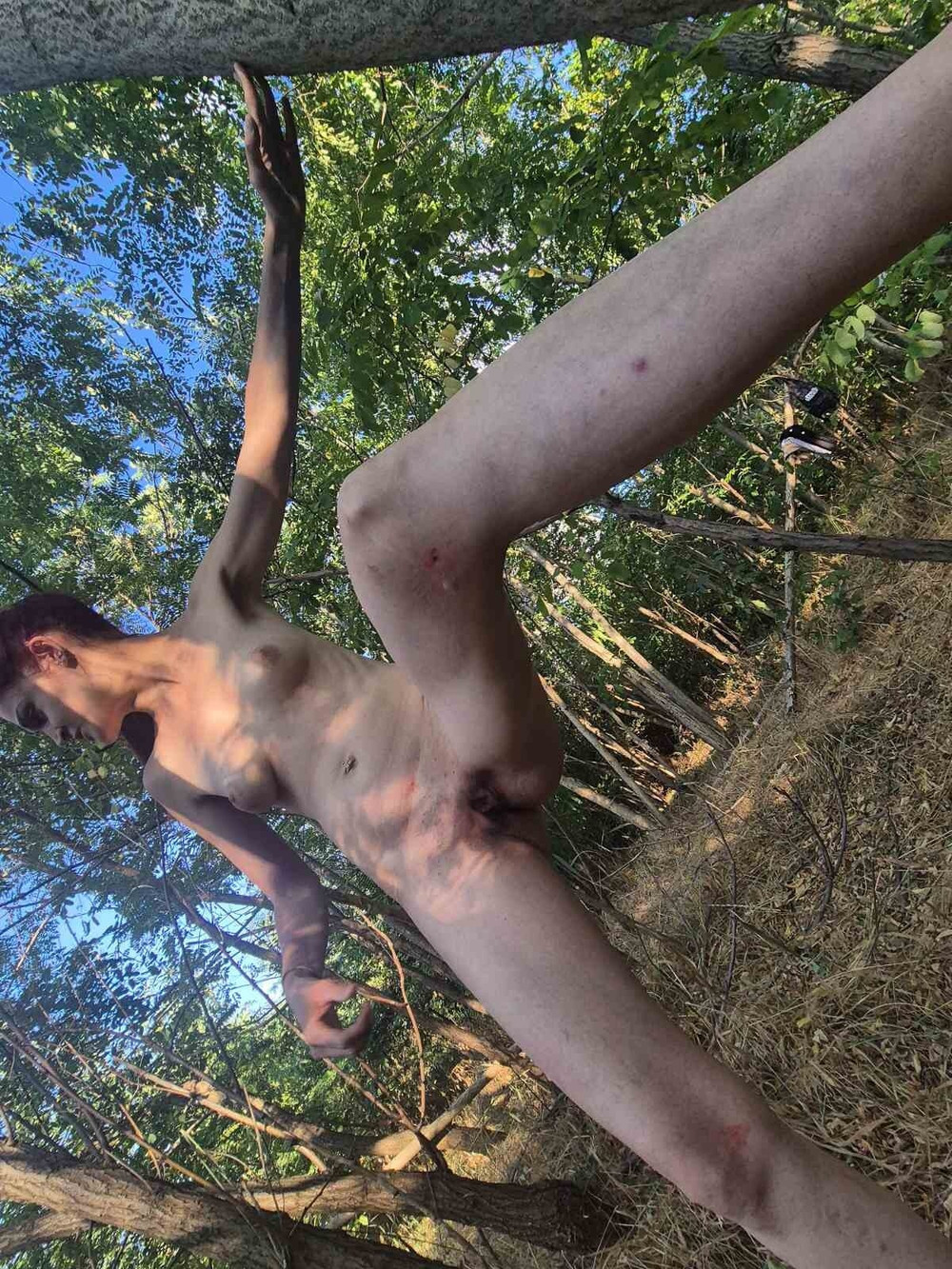Forest fun  #8