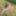 german deutsch milf turkisch anal lesbianhentai big ass mang #19
