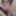 Young Chubby Girl Spreads Hairy Pussy Open on Webcam #6