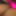 Tits