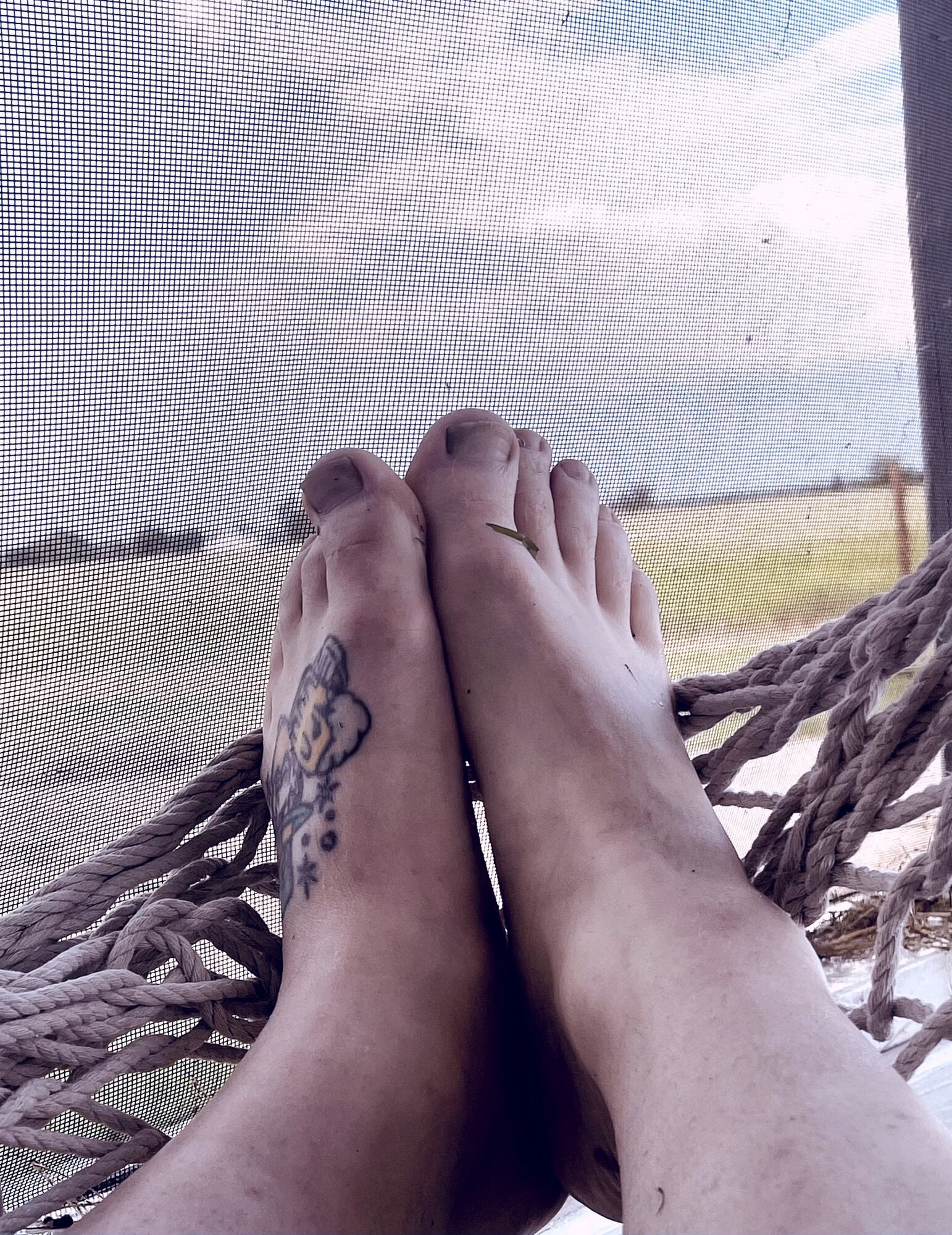 Feet