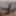 Big indian dick from nagpur delhi jaipur raipur  #5