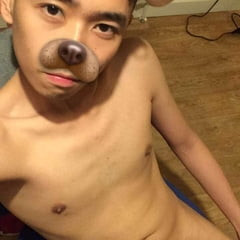 Asian puppy for adoption 