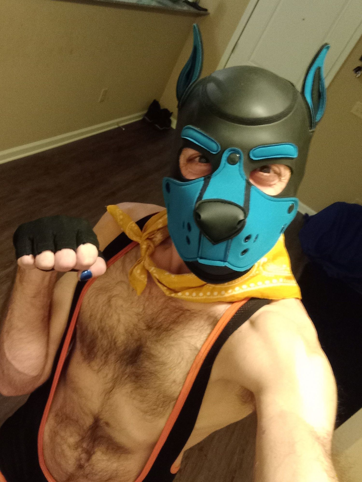 Puppers Showing off in underwear...again #24