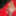 Boner in red Nylon at public Nudist Lake #13